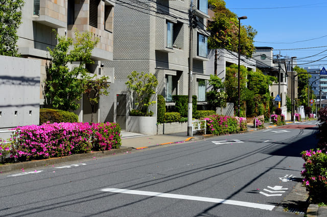 なんでみんな 代々木上原 に住みたいのに住めないと思う？｟OTOGI不動産｠