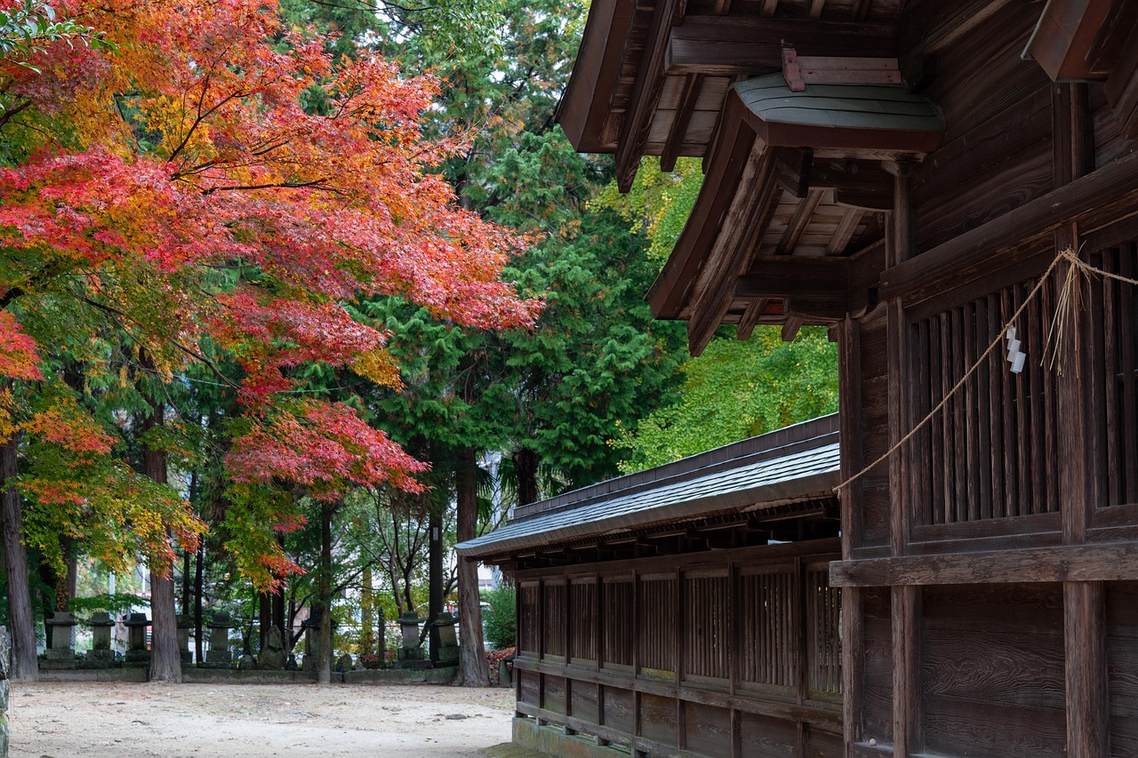 いらすとやの謎イラスト 20選 いつか創作に活用したいニシノセ