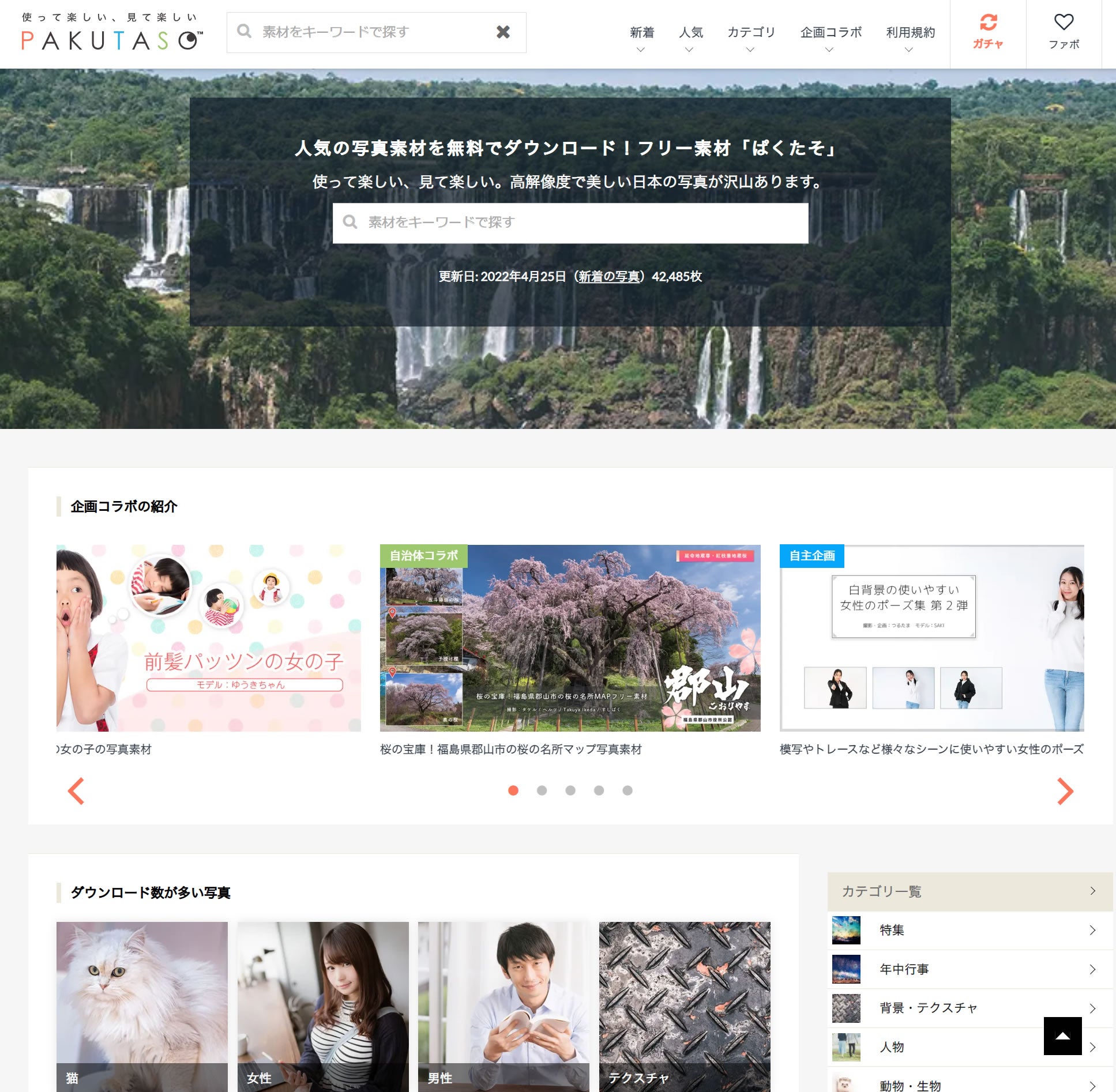 たそ様確認専用 利用規約 - フリー素材 ぱくたそ