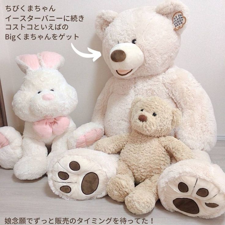 楽天市場 コストコ の くまの通販