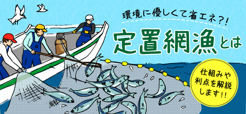 操業のリアル 東日本のまき網漁業と漁業サポーター - 海ペディア