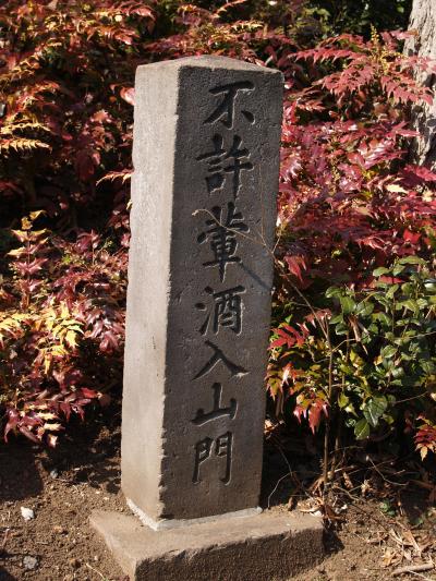 黄酒とは？中国最古の醸造酒について中国酒探究家が詳しく解説！酒白白Journal黄酒・紹興酒を深堀