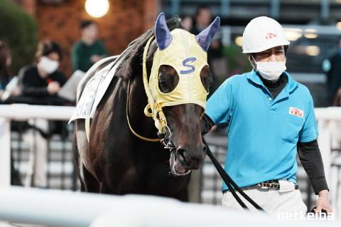 前進はハリウッドヒルズの居住地を飛行する 大都市の上の美しい住所に高級住宅 米国カリフォルニア州ロサンゼルス ストック動画 © 21AERIALS655074988