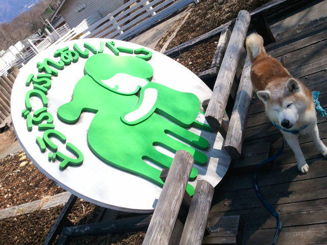 カワヨグリーン牧場 青森県おいらせ町🌿🐑 ふれあい牧場デー限定！手ぶらでBBQ 🍖🔥 10 12 日 開催の「ふれあい牧場デー」で、✨20食限定✨ 前売りチケット販売中！ 1人前 1700円 当日1800円手ぶらで気軽に牧場BBQを楽しめます☺️ 自然の中で食べるお肉は格別