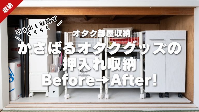 オタクの片付け⑩紙グッズの収納術！A4ファイル×8種のリフィル活用法 図解📷 一色 翼 オタク＆片付け