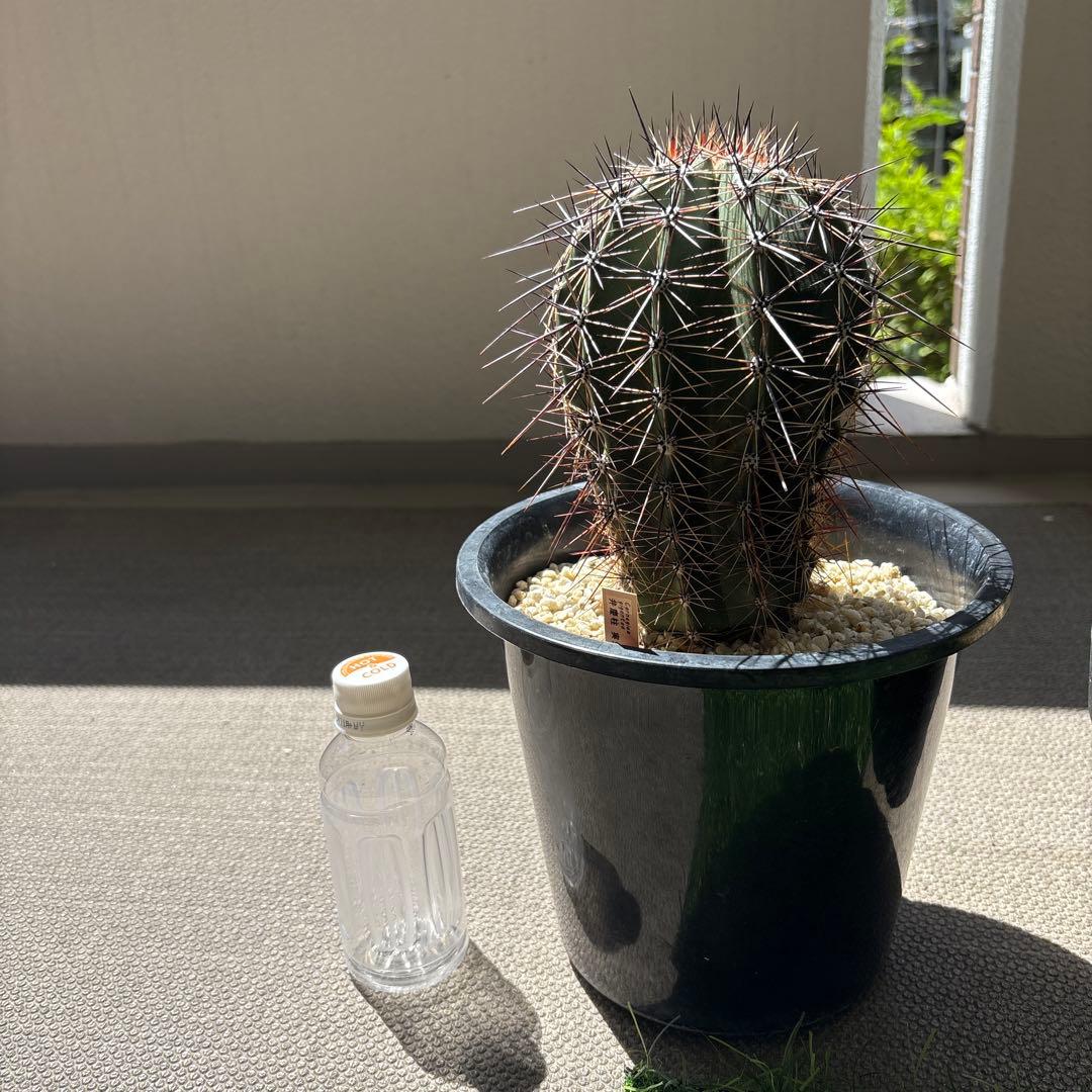 Q：新規ライブラリで同期を行う方法 同期時のエラーが解消されない場合などEndNote 文献管理、論文作成