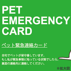 まずは安全な走行を、次にエマージェンシーカードの携行を。 : サイクルスパイス