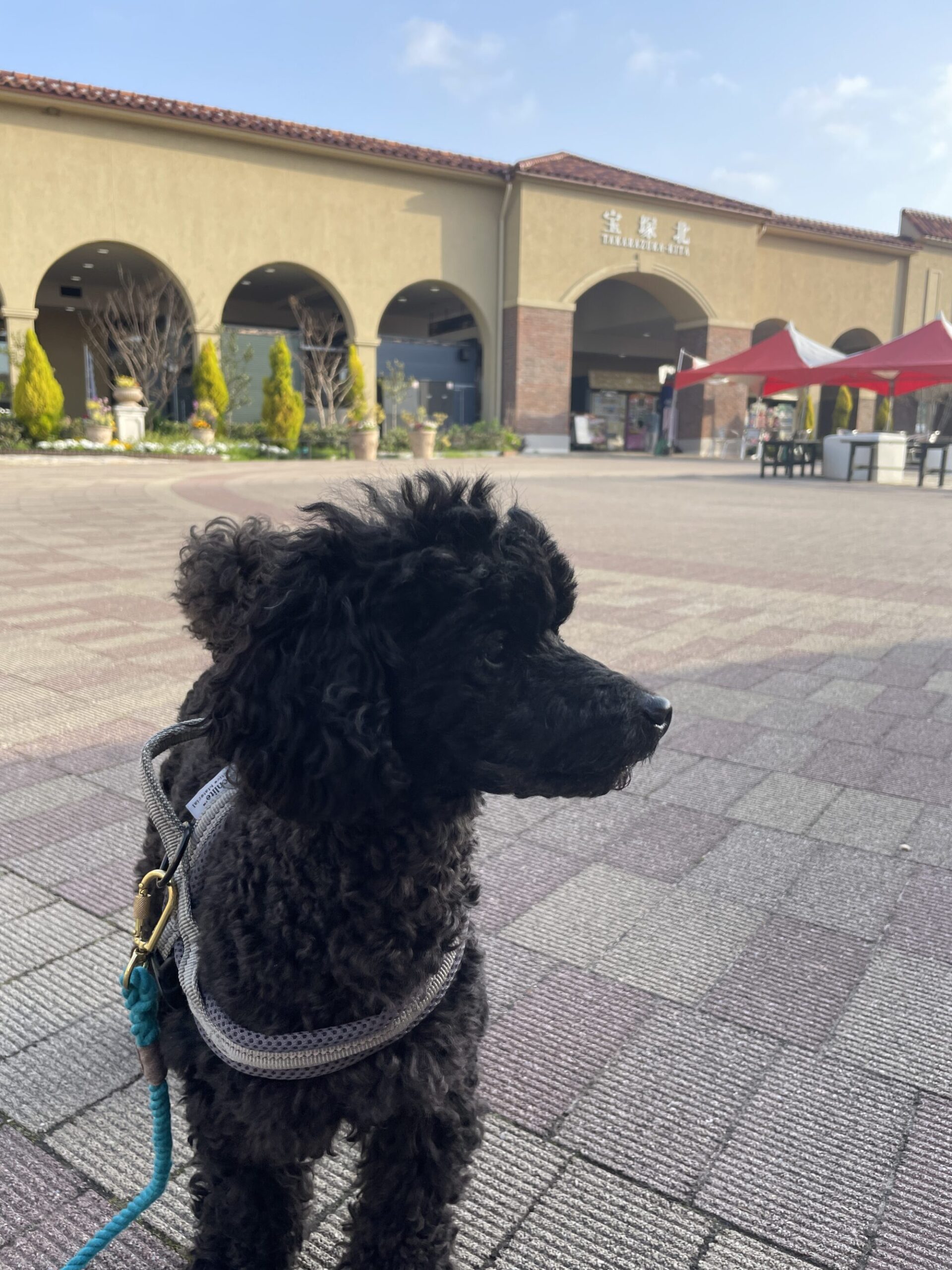 宝塚北SA 兵庫 は車中泊可能！ 新名神高速道路 - きょうだい児もりりんの育児マンガと日本１周旅ブログ