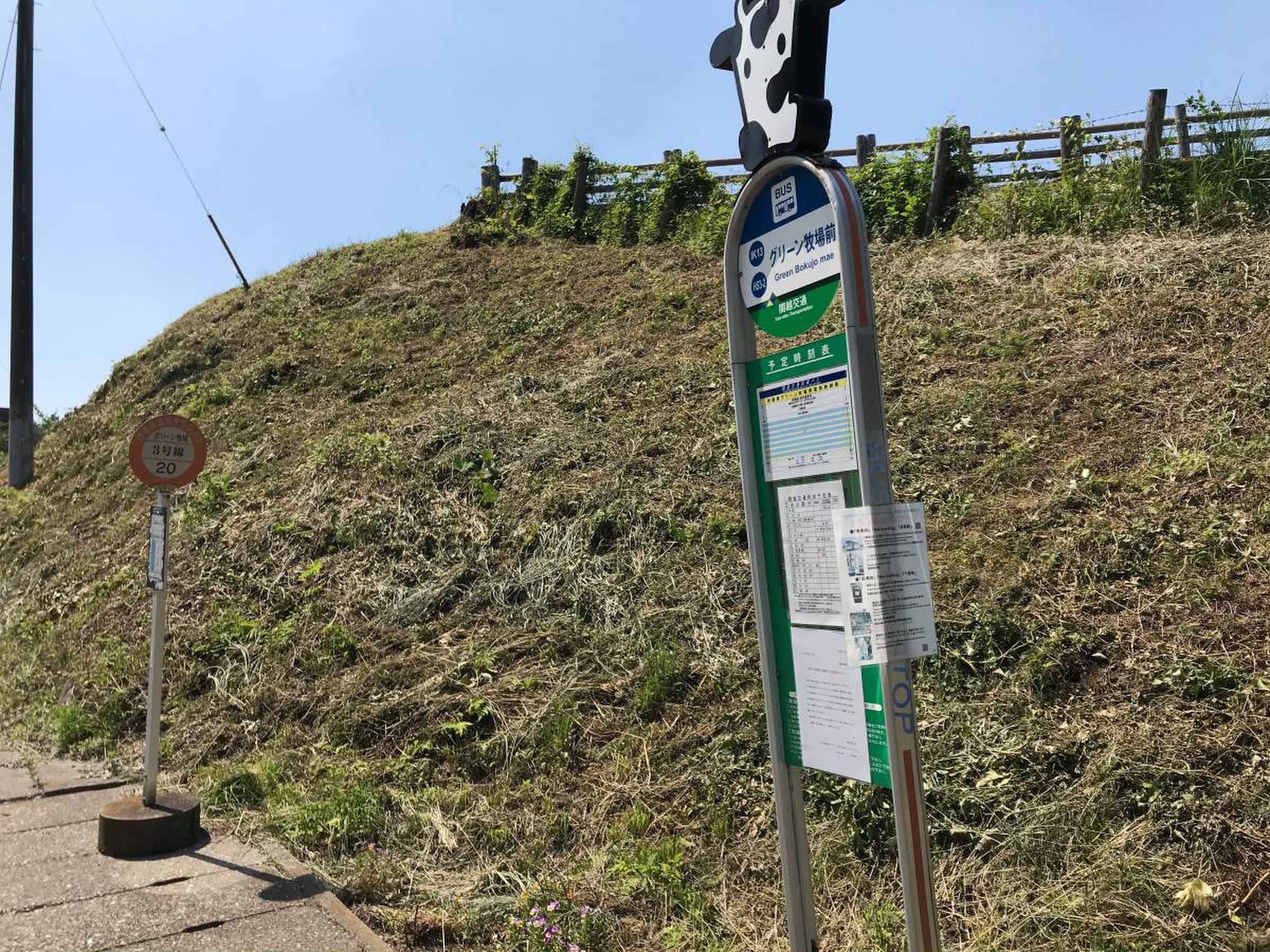 この白文字は「ハリウッド」を意識してか？ - 渋川市、伊香保グリーン牧場の写真 - トリップアドバイザ