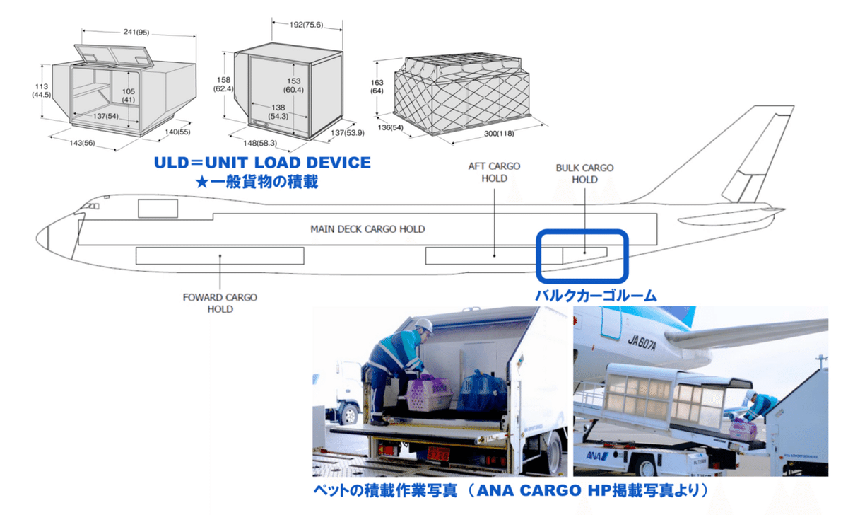飛行機が運んでいるモノって何？ 地上のお仕事図鑑SKYWARD+ スカイワードプラス