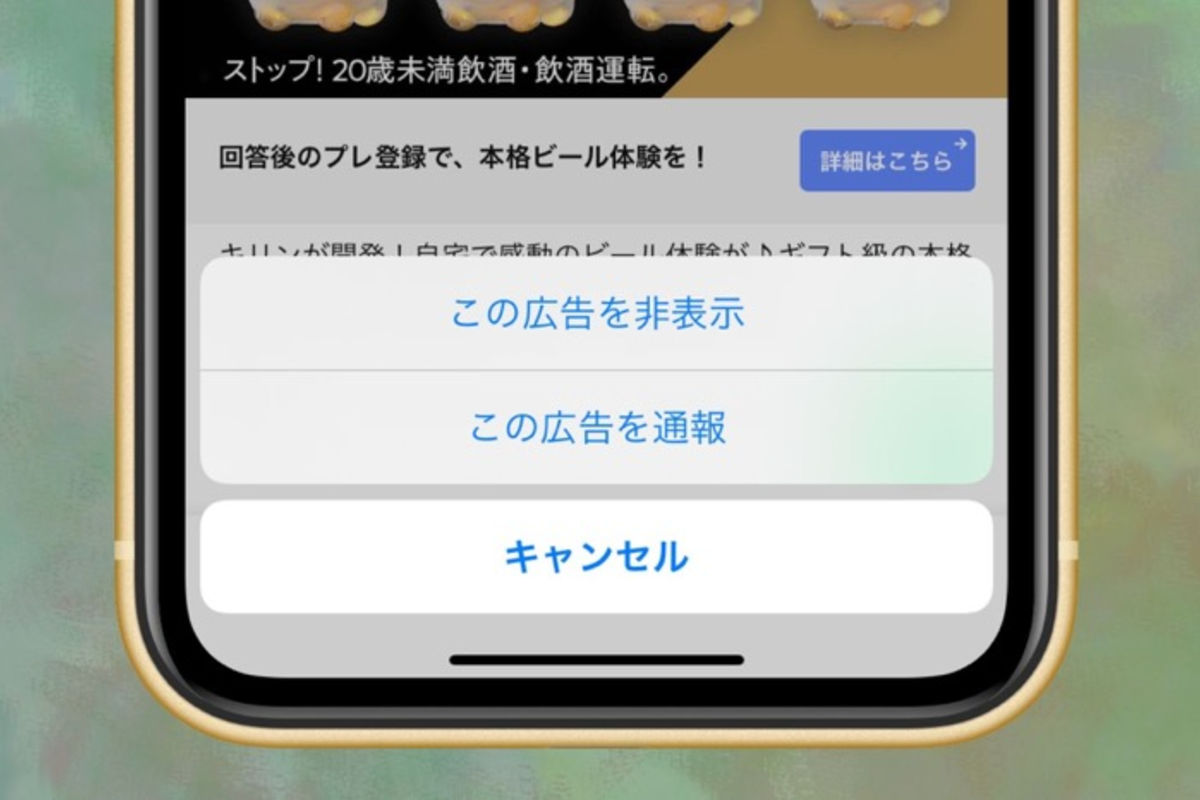 Photopea 四ヶ月使って ウザイ広告カット・kotokawa