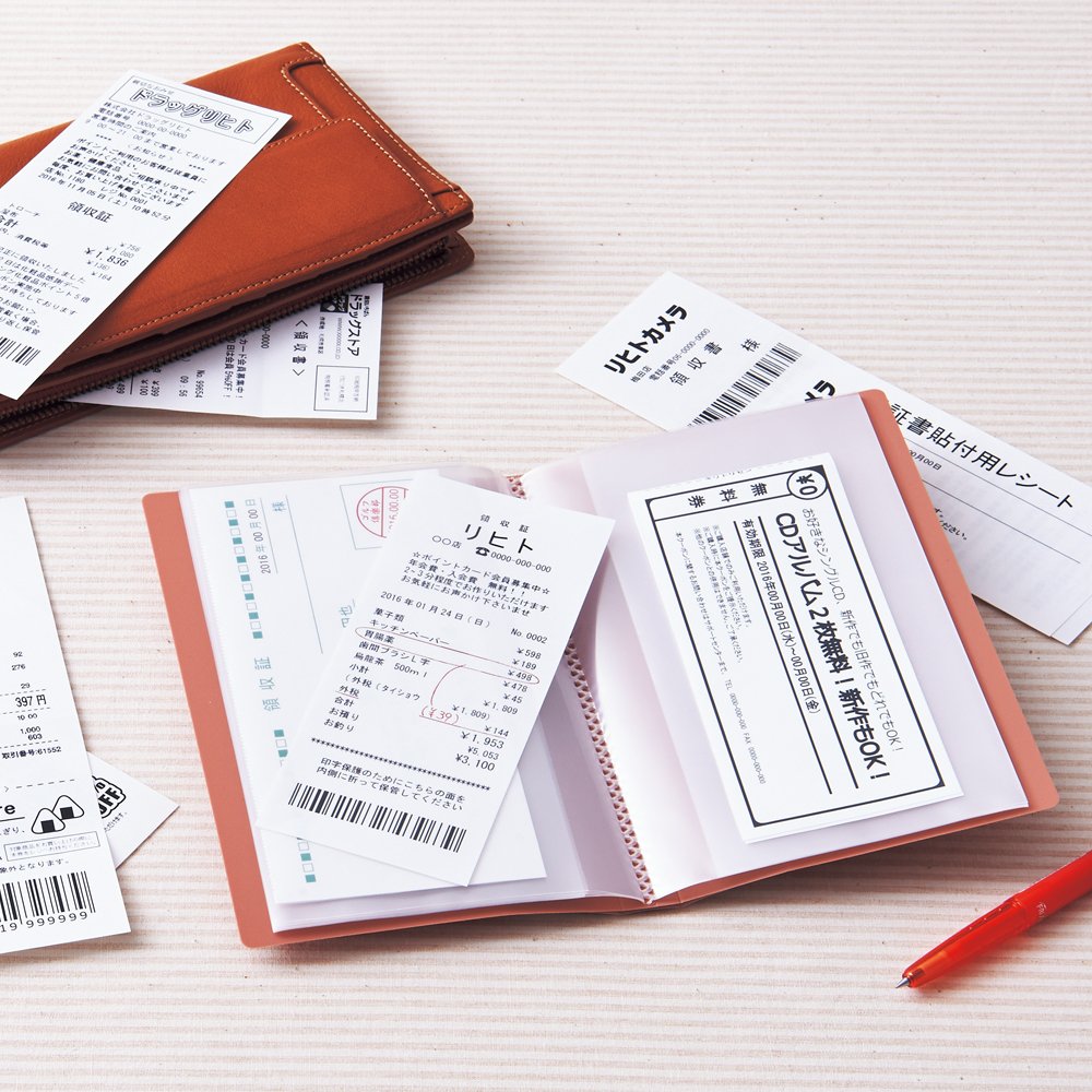 コクヨ 領収書＆明細ファイル＜かたづけファイル＞ Ａ４タイプ １２枚ポケット 透明 ラ-YR100T南信堂オンラインショップ