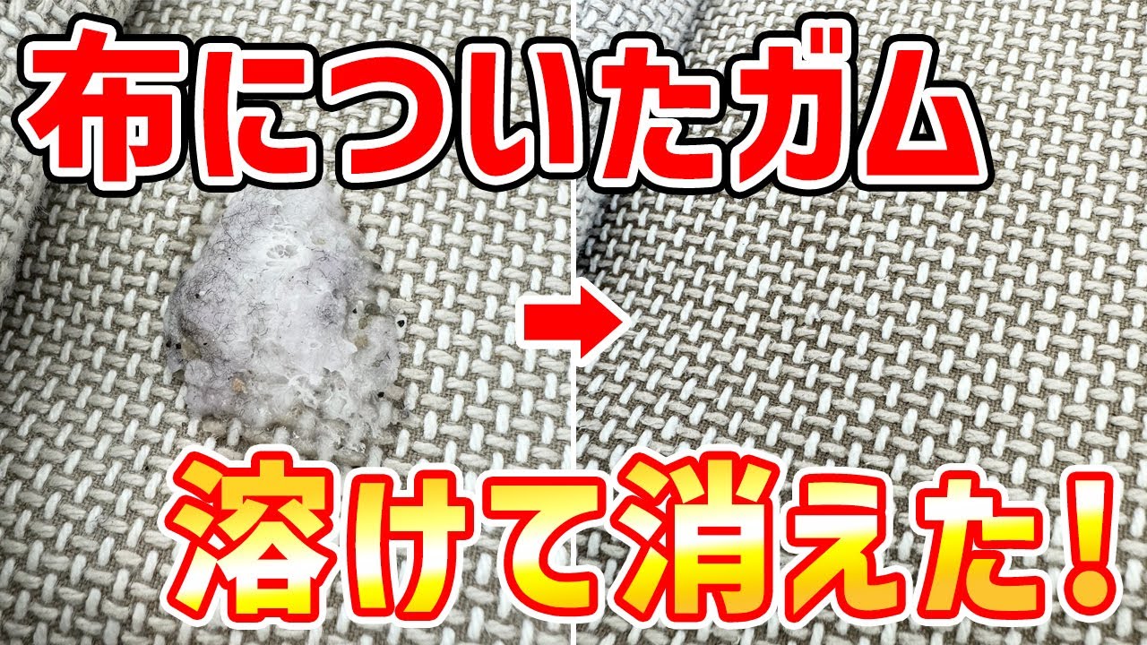 米シアトルの珍名所「ガムの壁」、約20年ぶりに清掃 写真12枚 国際ニュース：AFPBB News