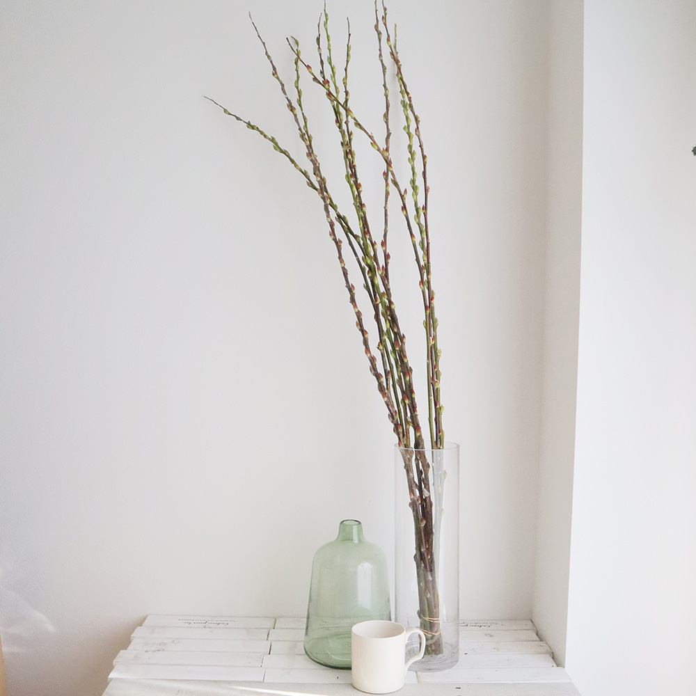 マイフラ通販 大地農園 しだれ柳・プリザーブド グリーン プリザーブドフラワー 枝もの DO003280-701 グリーン :プリザーブドフラワー 全国にMAGIQ、花器、花資材などをお届けします