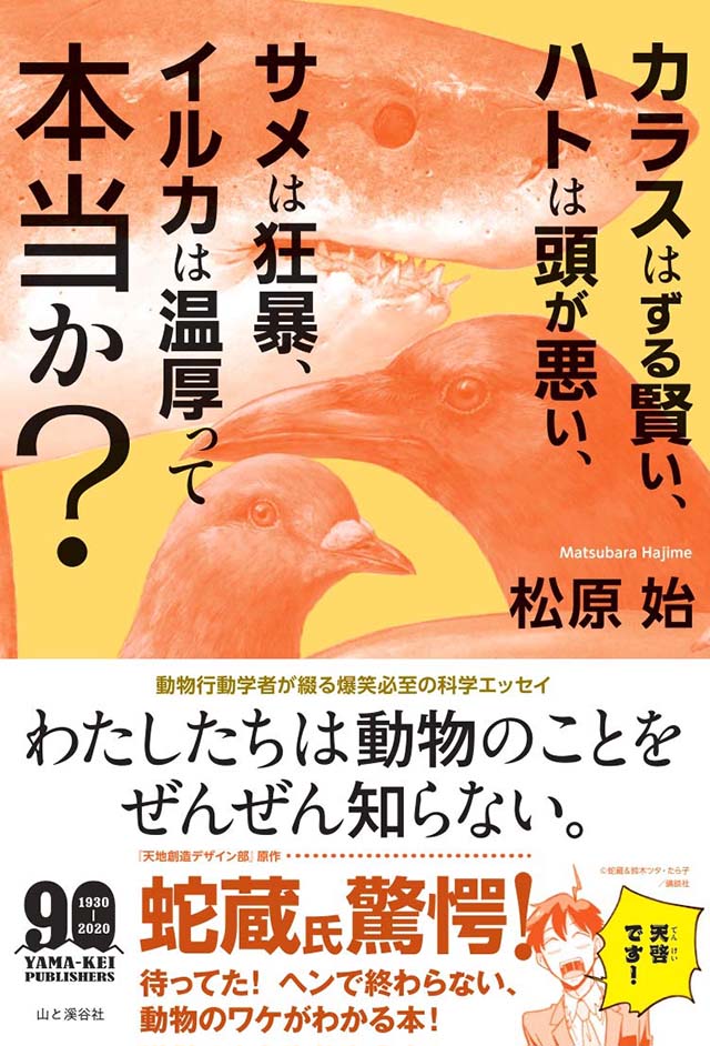 住む」より「楽しむ」BESSの家 ログハウス 木の家. 「もの」における、“まぬけ”とは？を 探求する企画「まぬけもの」。 第12回のゲストは、ファッションブランド「途中でやめる」 @tochudeyameruを 手がける山下陽光さん。 「途中でやめる」は20年にわたって山下