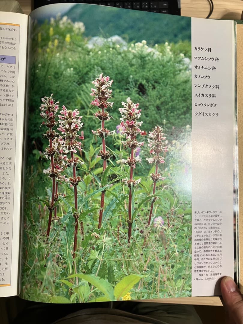 沖縄市 自分好みの商品を掘り当てる楽しさを経験できる古着屋さん。沖縄市池原の「古着屋 DIGDUG VINTAGE ＆ USED CLOTHING」。号外NET 沖縄市・うるま市