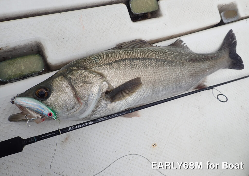 お手軽モバイルシーバスロッドの決定版！ヤマガブランクス アーリー フォー モバイル 84ML のインプレッション！-続・スモールフィッシング