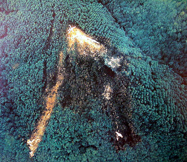 群馬県警の「取扱注意」資料から浮かぶ日航機墜落事故、生存者４人が明かした機内状況とは : 読売新聞