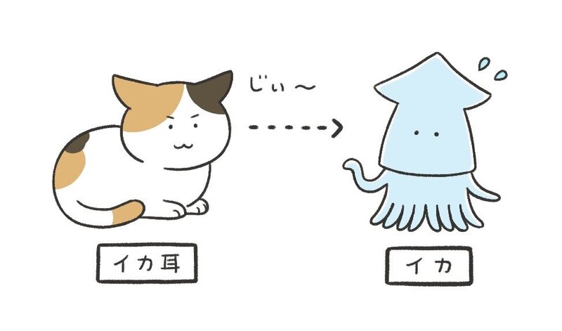 犬がずっと『伏せ』の姿勢をしている原因３選！わんちゃんホンポ