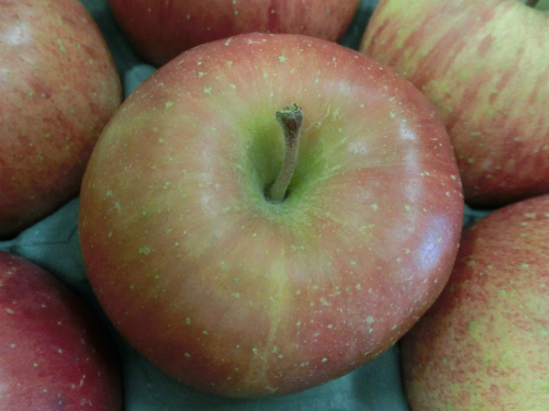 悪は良に勝る!? 組織内に潜む