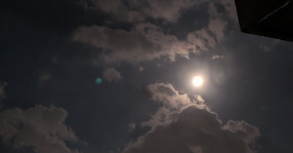 ウソから始まる恋と仕事の成功術 : 動画配信サービス VOD ・サブスク・視聴方法情報まとめ - 映画.com