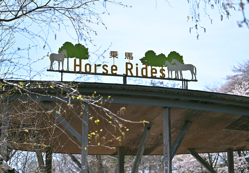 そうだ、伊香保グリーン牧場に行こう！ その１ うさぎカフェに行こう - うさぎ学園 多趣味部