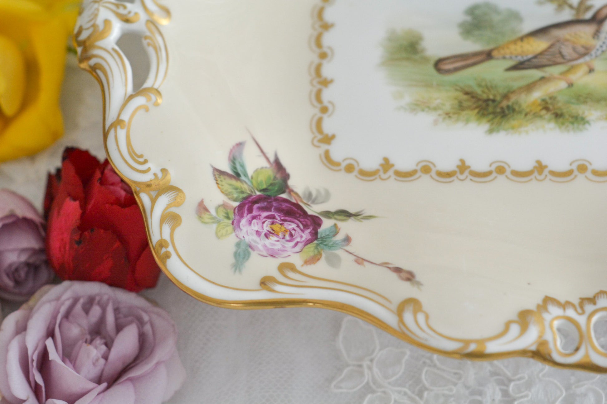 株式会社ダベンポートDAVENPORT.Inc