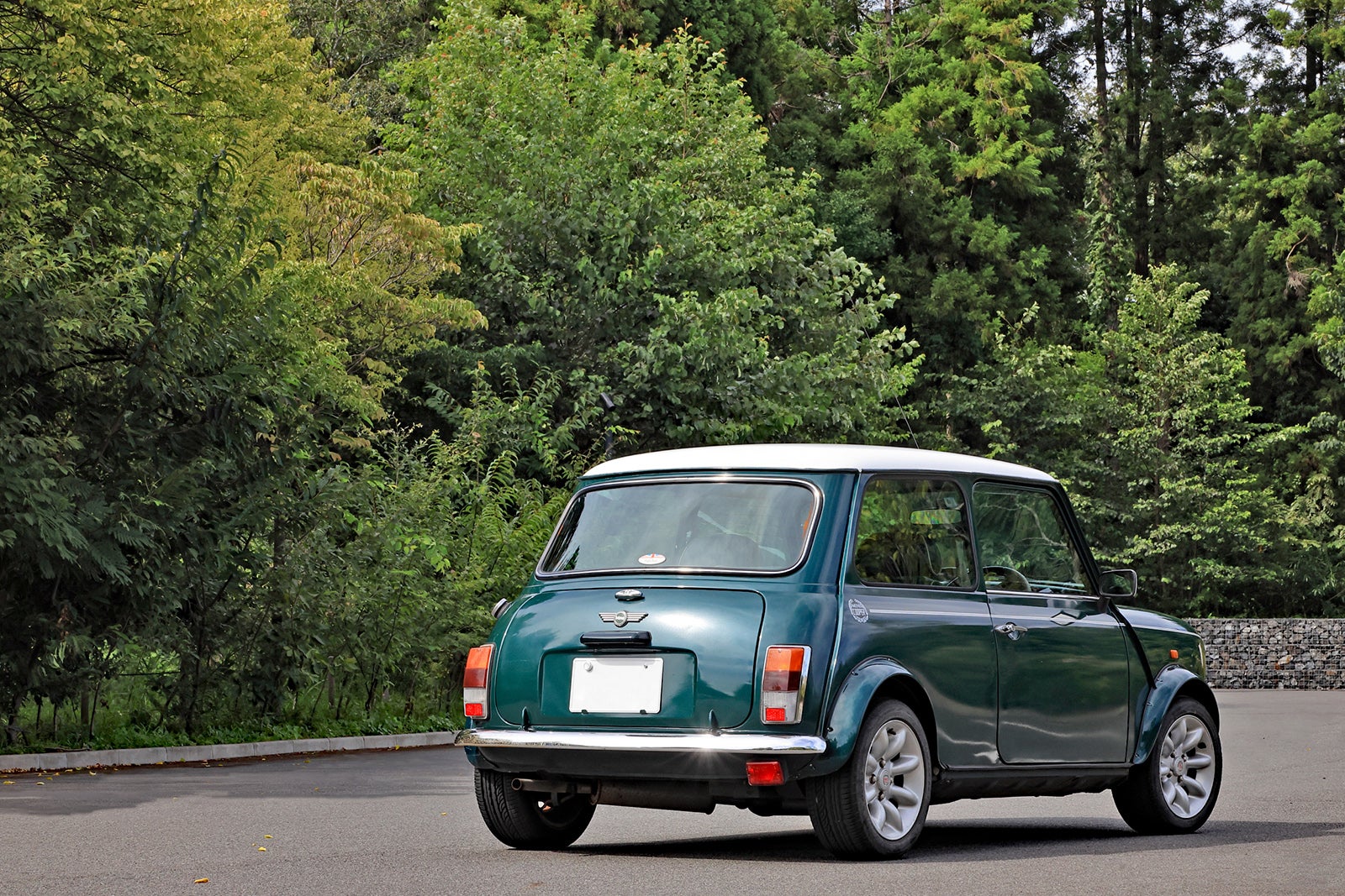 自動車模型の世界に激震走る！ハセガワが「クラシック・ミニ」のキット化を発表!! モデルカーズ- LE VOLANT WEB自動車情報サイト『LE VOLANT WEB ル・ボラン ウェブ 』