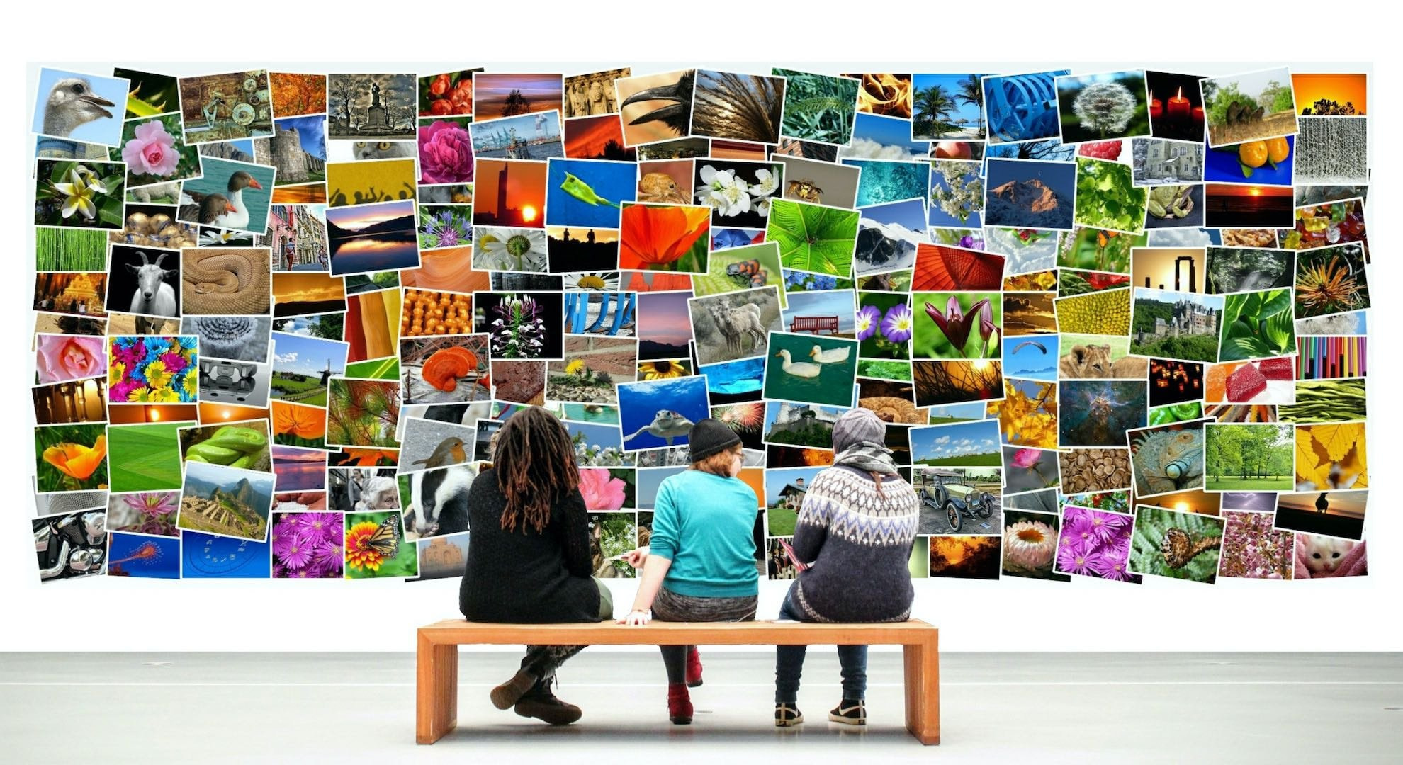 最近、新たに知った無料イラスト素材集5選ブログ株式会社リバース