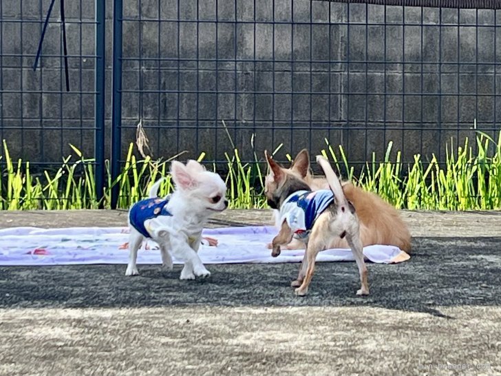 SOLD OUT」と「ご成約済み」の違いは何ですか？よくある質問