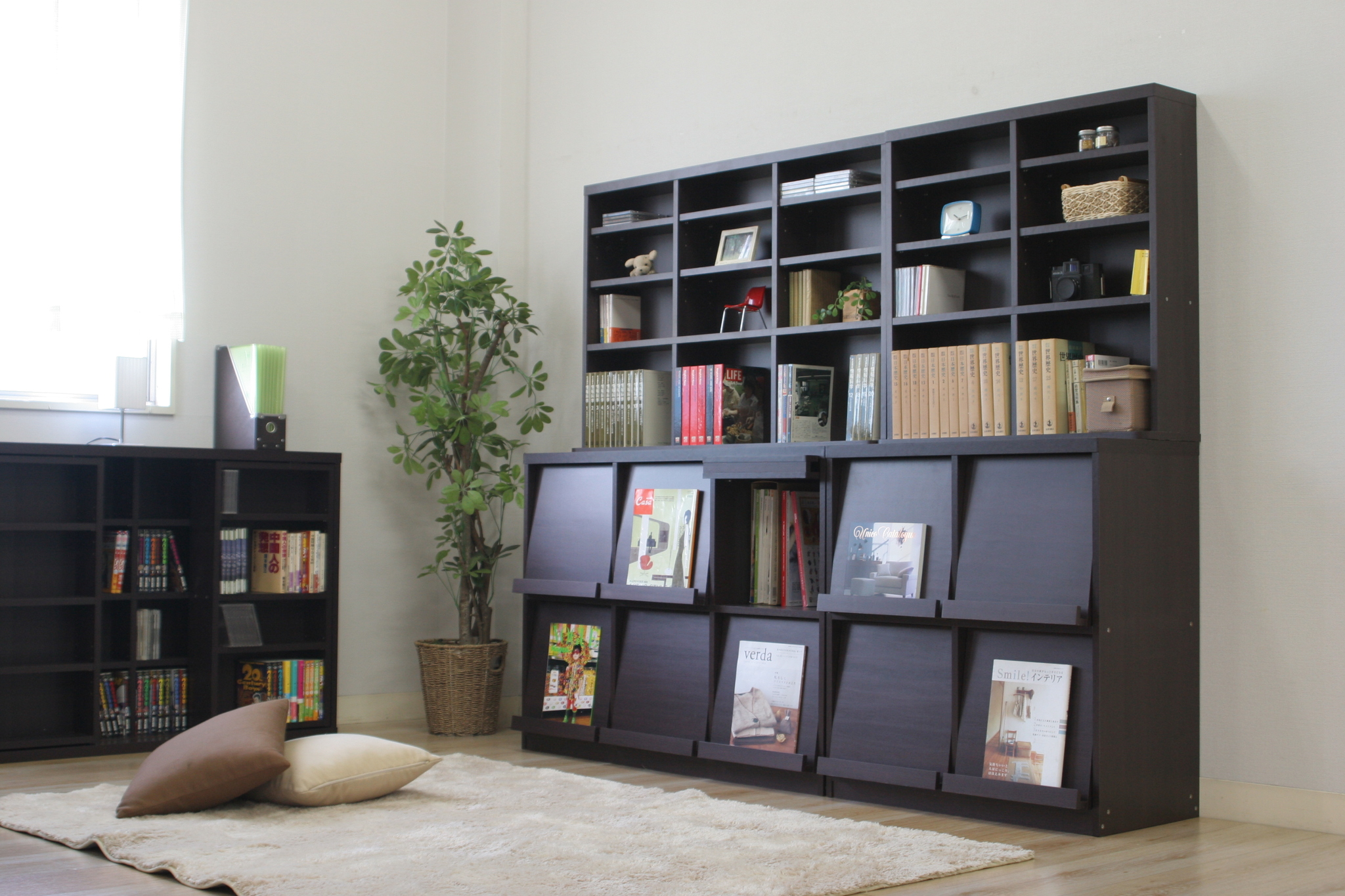 新商品 オタ活中社員が本気で考えた“推し活”グッズ収納をディノスが発売株式会社dinosのプレスリリース