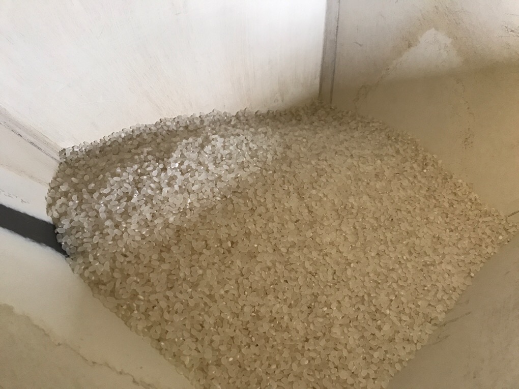 コイン精米機から米ぬかを貰ってきて畑に撒いた - 頭の中はいつも薪ちゃん