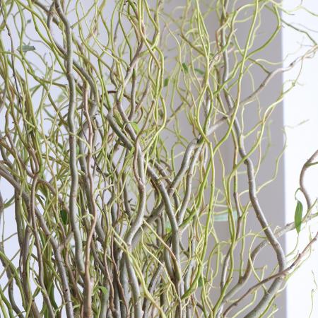 SiKiTO EDA STAND シキト エダ スタンド にて夏の枝「アセビ」と「雲龍柳」を用いた枝ブーケの販売を開始株式会社TRINUSのプレスリリース