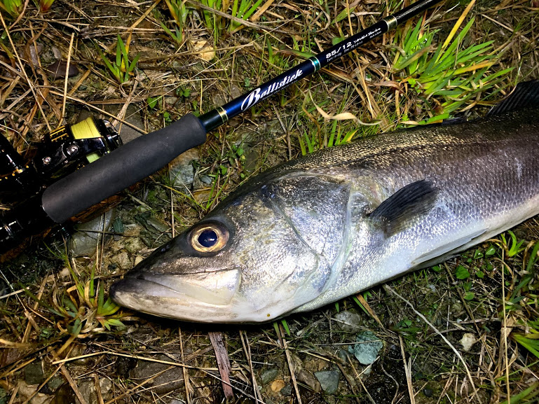 ショアゲーマー必見 ヤマガブランクス「アーリー」シリーズの全ロッドをジャンル別に紹介！ - 釣りメディアGyoGyo