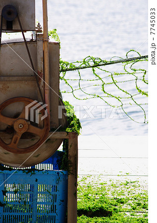 削ぎ落として残る「はだか」こそ、替えのきかない強みになるForbes JAPAN 公式サイト フォーブス ジャパン