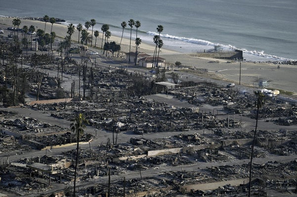 ハリウッドの映画界が結束、LA山火事に緊急支援表明 : 映画ニュース - 映画.com