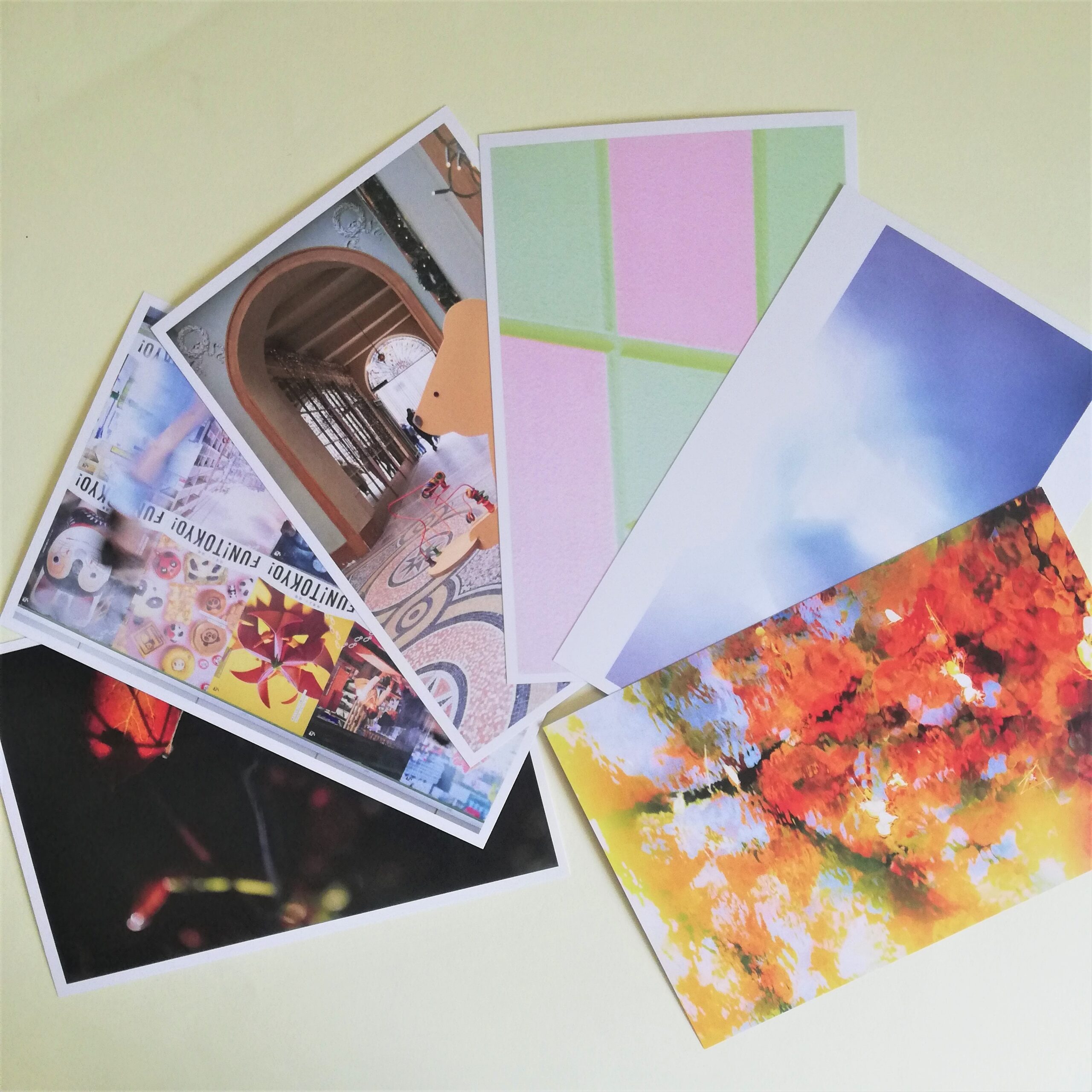 トイレットペーパー1ロールを平均何日で使い切るのか？男女の差や家族構成、会社内での使用量を解説の通販湯浅紙店 激安 全品送料無料