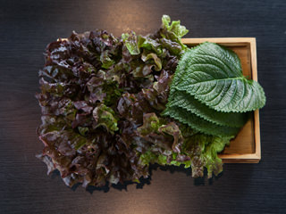 더 주세요 ト チュセヨ =「お代わりをください」TODAY'S韓国語韓国旅行「コネスト」