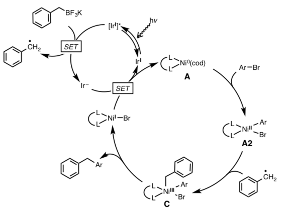 鈴木・宮浦クロスカップリング Suzuki-Miyaura Cross CouplingChem-Stationケムステ