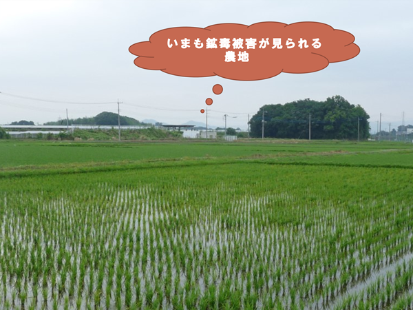 田中正造 日本史辞典 ホームメイト