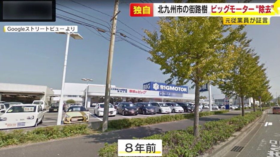 やりたい放題』ビッグモーターついに断末魔へ 埼玉県警が器物損壊の疑いで捜査開始 所沢店前では通常の約10倍の除草剤成分検出 – TREND NEWSCASTER