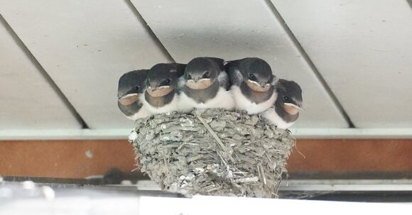 中学受験 ぎゅうぎゅう詰めの算数ノートはミスの温床になる！中学受験必勝ノート術ダイヤモンド・オンライン