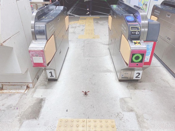 競馬場をイメージしたという大井競馬場前駅改札 - 品川経済新聞