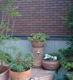 立水栓のdiyやる時は水道の大元の栓を締める必要があるので作業が終わるまで水道が使えないんですよね〜😅もしやる方はご注意くださいませ😅一条工務店アイスマートアイスマートで平屋アイキューブ立水栓diyレンガ排水口後悔点失敗点生かす活かす