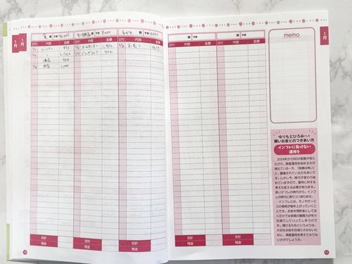 お金仕分けファイル ダイソーTikTok