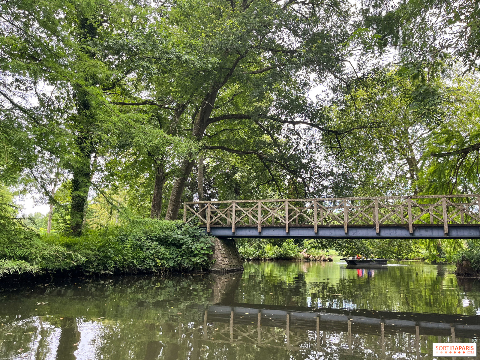 裏切りのサーカス スペシャル・プライスDVD