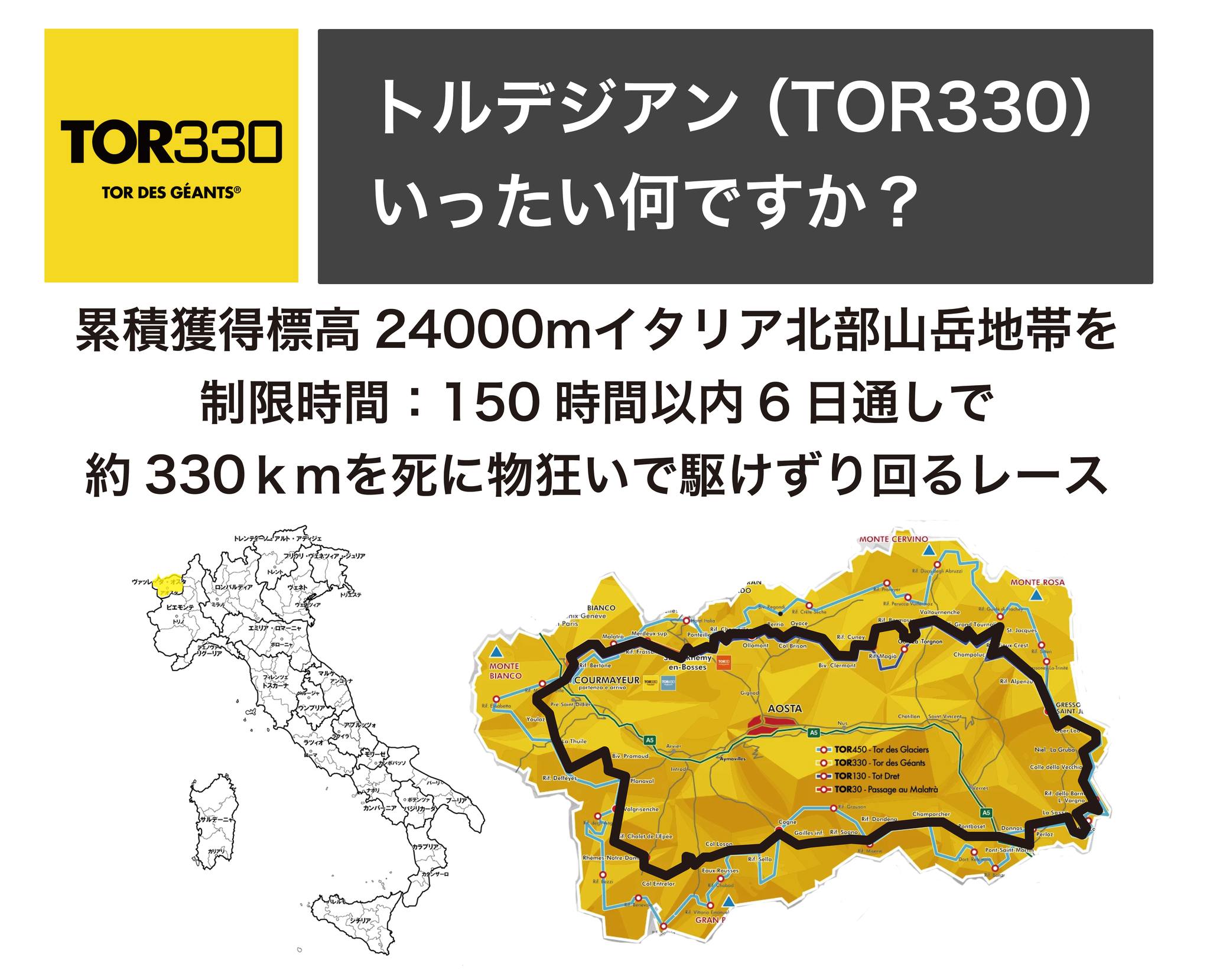 うさぎはよく走る動物！突然走り出す、走り回る理由を知りたい