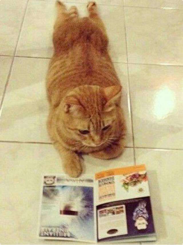 ワールド・レップ・サービスのパーフェクトセラムをはじめとしたケア用品を高価買取中です！コシノ本舗のコラム