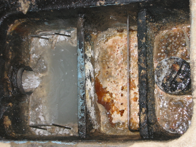 ボク「地溝油」、「下水出身」です・。:川崎 指圧マッサージサムライ 強制的なブログ川崎市川崎区のリラクゼーションサロンのブログ