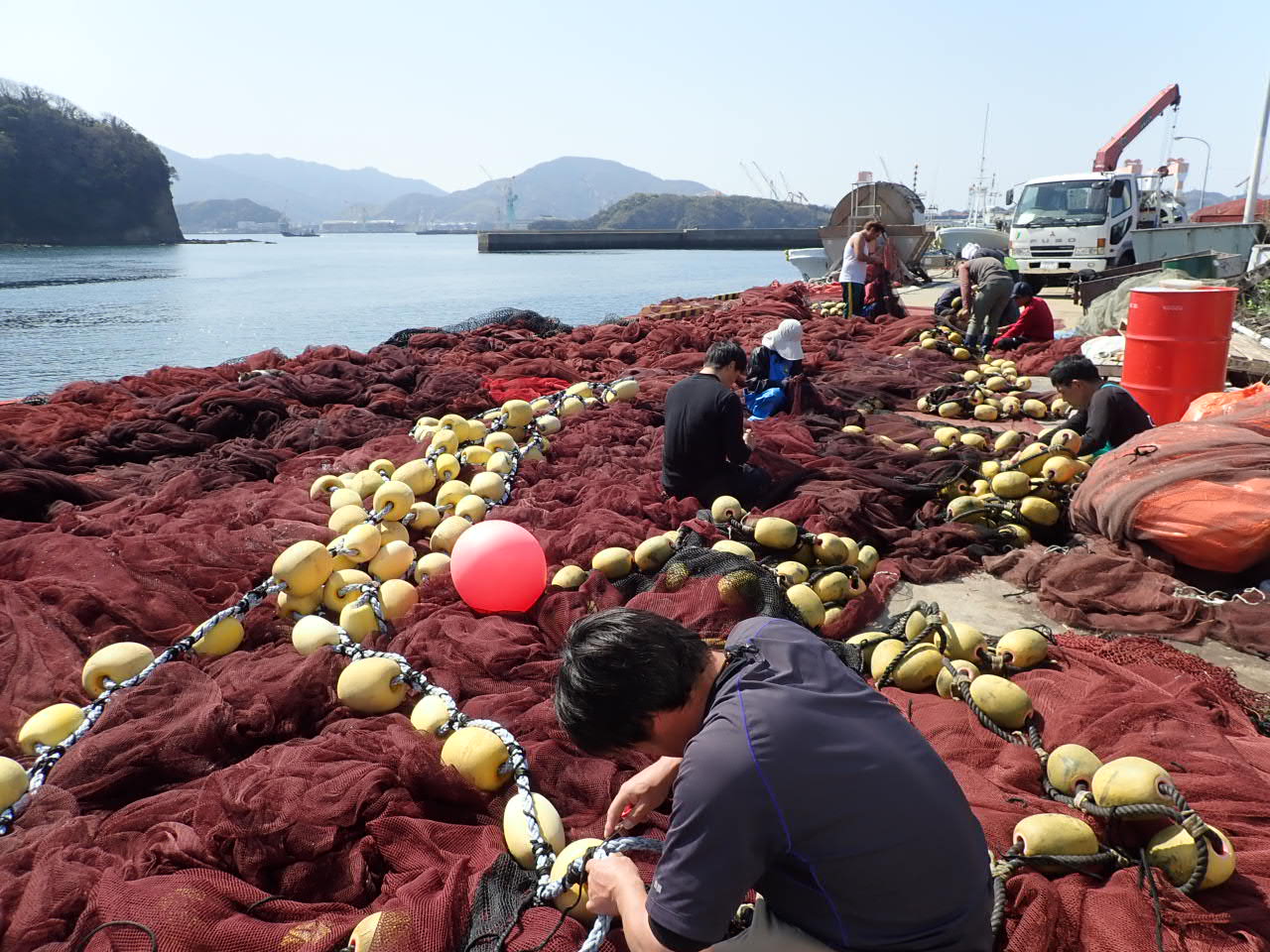 延縄漁 はえなわりょう とは？ 獲りすぎない漁業を目指して - 活穴子仕入れ専門店 対馬水産